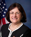 Ann McLane Kuster (D